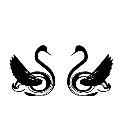 Лебеді 2